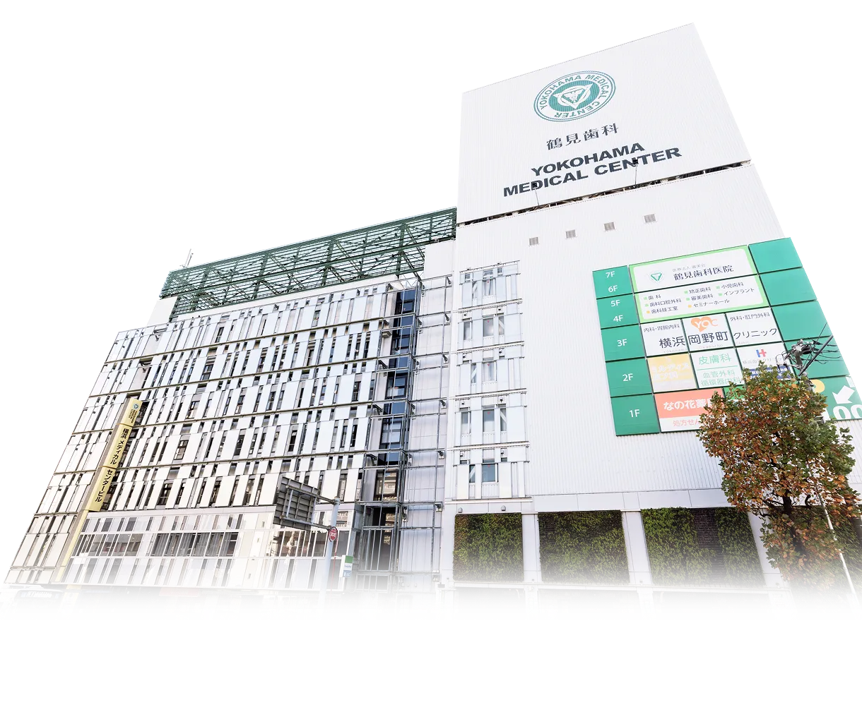 横浜/全国からも多数来院